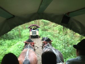 Bavaria day with  in carrage horses on trail